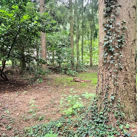 Hébergement de vacances Idyllisch & Ruhig - Gemuetliches Im Wald Hunde Willkommen, In Hatten, Nahe Oldenburg