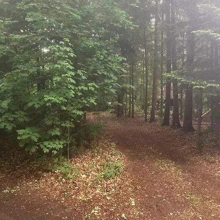 Hébergement de vacances Idyllisch & Ruhig - Gemuetliches Im Wald Hunde Willkommen, In Hatten, Nahe Oldenburg Hatten