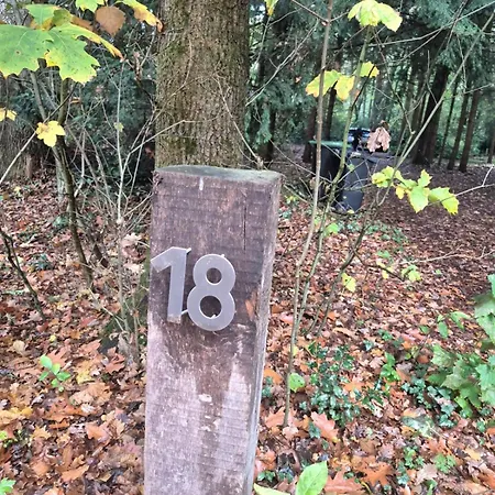 Idyllisch & Ruhig - Gemuetliches Im Wald Hunde Willkommen, In Hatten, Nahe Oldenburg *