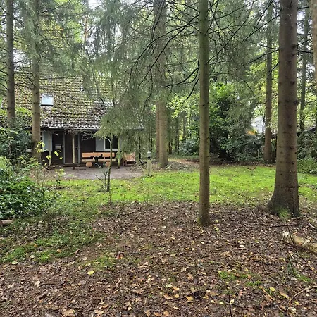 Idyllisch & Ruhig - Gemuetliches Im Wald Hunde Willkommen, In Hatten, Nahe Oldenburg Hébergement de vacances Hatten