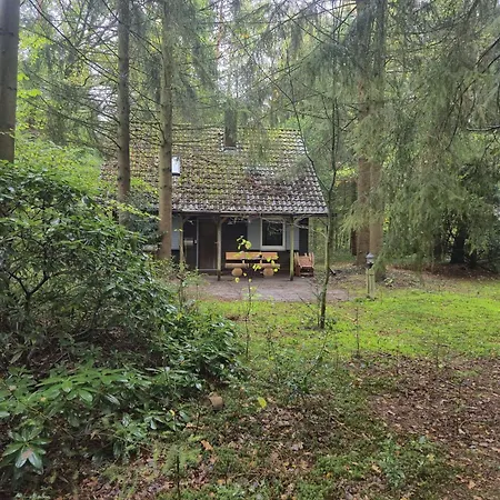 Idyllisch & Ruhig - Gemuetliches Im Wald Hunde Willkommen, In Hatten, Nahe Oldenburg Hébergement de vacances *