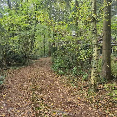 Idyllisch&ruhig - Gemütliches Im Wald Hunde Willkommen Ferienhaus *