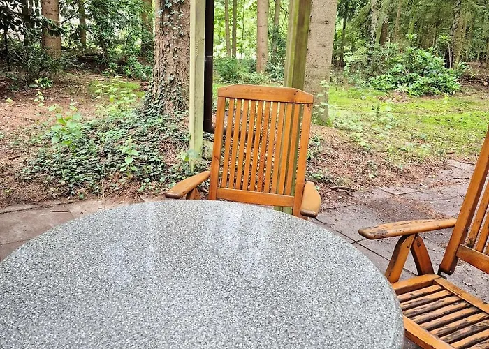 Idyllisch & Ruhig - Gemuetliches Im Wald Hunde Willkommen, In Hatten, Nahe Oldenburg Tatil Evi Hatten