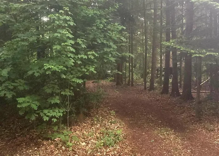 Tatil Evi Idyllisch & Ruhig - Gemuetliches Im Wald Hunde Willkommen, In Hatten, Nahe Oldenburg Hatten