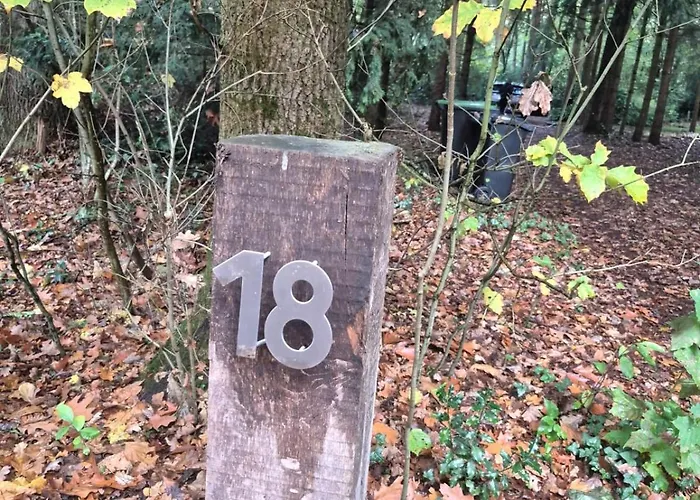 Idyllisch & Ruhig - Gemuetliches Im Wald Hunde Willkommen, In Hatten, Nahe Oldenburg *