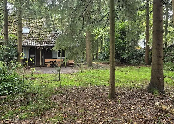 Idyllisch & Ruhig - Gemuetliches Im Wald Hunde Willkommen, In Hatten, Nahe Oldenburg Tatil Evi Hatten