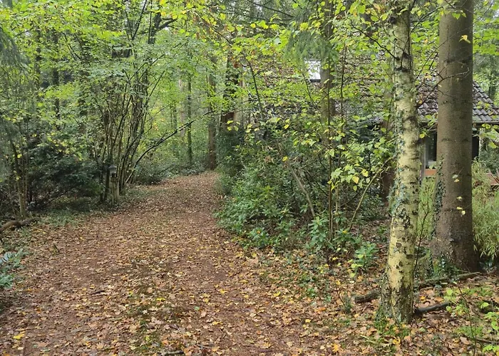 Idyllisch & Ruhig - Gemuetliches Im Wald Hunde Willkommen, In Hatten, Nahe Oldenburg بيت للعطل *